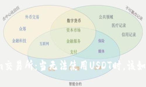 Tokenim交易所：当无法使用USDT时，该如何应对？