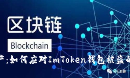 保护你的数字资产：如何应对ImToken钱包被盗的风险与防范措施