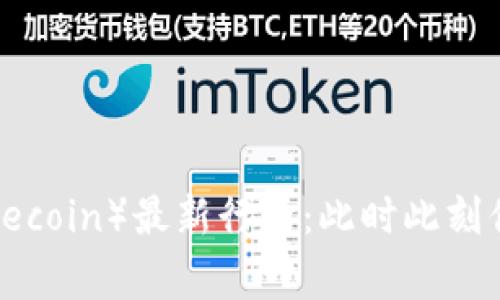 揭秘狗币（Dogecoin）最新行情：此时此刻你是否该入手？