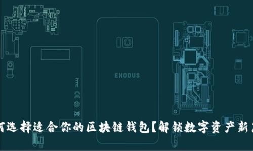 如何选择适合你的区块链钱包？解锁数字资产新篇章
