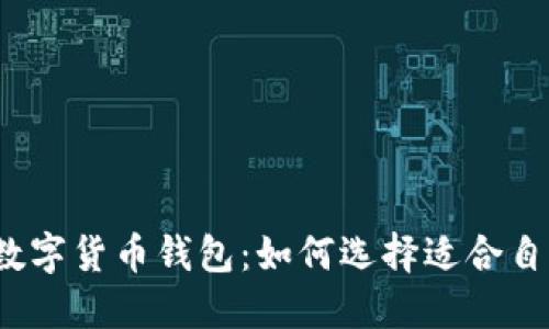 探索最大的数字货币钱包：如何选择适合自己的安全港？