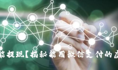 微信支付能提现？揭秘能用微信支付的虚拟币钱包