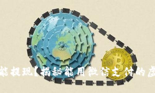 微信支付能提现？揭秘能用微信支付的虚拟币钱包