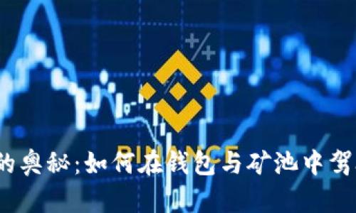 探索区块链的奥秘：如何在钱包与矿池中驾驭未来金融？