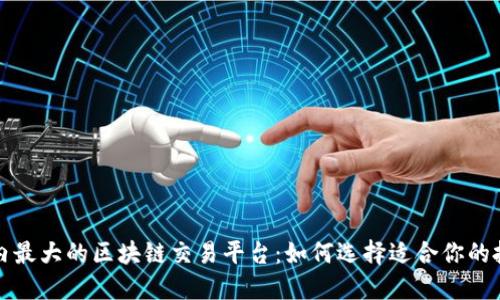 揭秘国内最大的区块链交易平台：如何选择适合你的投资伙伴