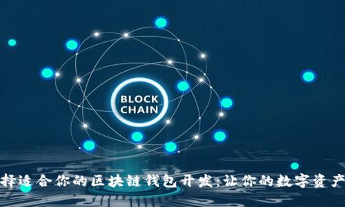 如何选择适合你的区块链钱包开发：让你的数字资产更安全