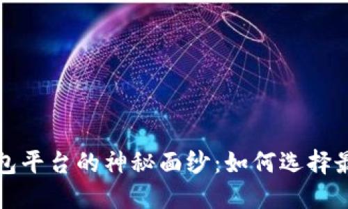 揭开全球最大区块链钱包平台的神秘面纱：如何选择最适合你的数字货币钱包