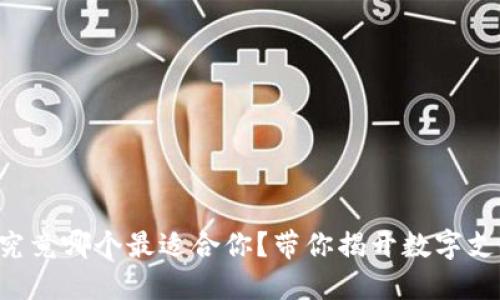 “虚拟钱包究竟哪个最适合你？带你揭开数字支付的秘密！”