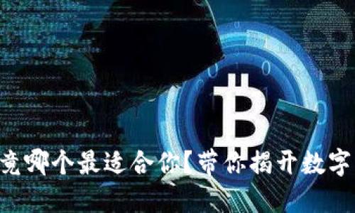 “虚拟钱包究竟哪个最适合你？带你揭开数字支付的秘密！”