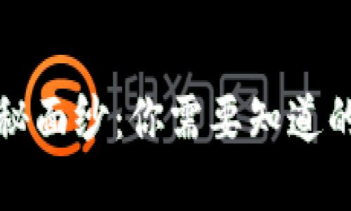 揭开数字钱包的神秘面纱：你需要知道的主流数字钱包汇总
