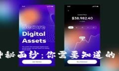 揭开数字钱包的神秘面纱：你需要知道的主流数