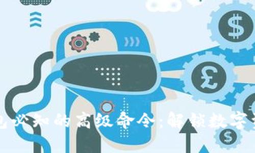 区块链钱包必知的高级命令：解锁数字资产的秘密