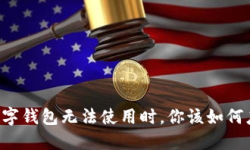 当数字钱包无法使用时，你该如何应对？
