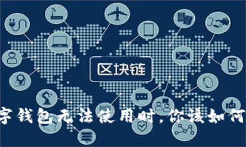 当数字钱包无法使用时，你该如何应对？