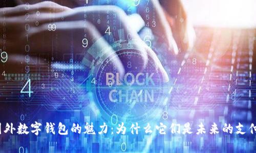 探索国外数字钱包的魅力：为什么它们是未来的支付趋势？