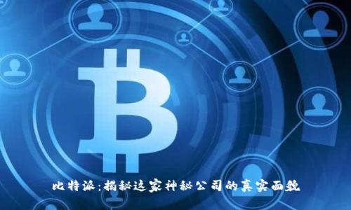 比特派：揭秘这家神秘公司的真实面貌