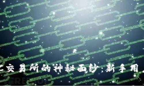 揭开IMBTC交易所的神秘面纱：新手用户必备指南