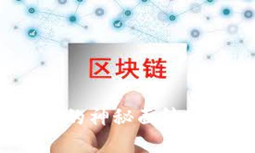 揭开IMBTC交易所的神秘面纱：新手用户必备指南
