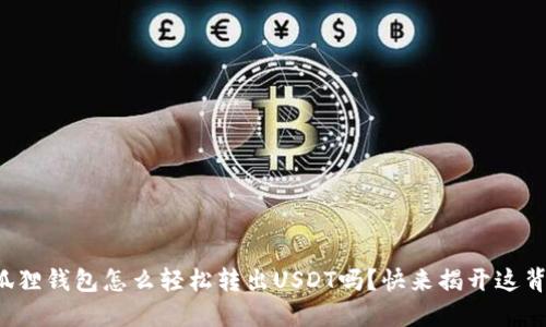你知道小狐狸钱包怎么轻松转出USDT吗？快来揭开这背后的秘密！
