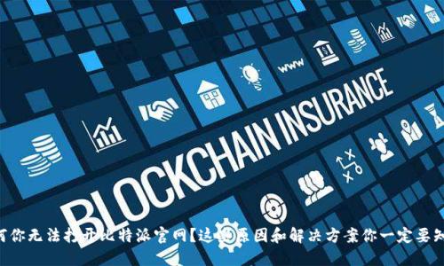 为何你无法打开比特派官网？这些原因和解决方案你一定要知道！