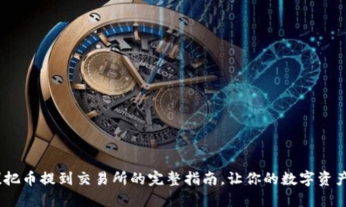 轻松上手！把币提到交易所的完整指南，让你的数字资产畅通无阻