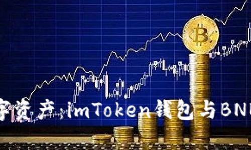 探索全新数字资产：imToken钱包与BNB的完美结合