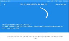 数字钱包选购指南：如何选择最适合你的数字钱