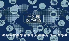 揭秘加密数字货币背后的骗局：真相与警醒