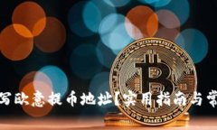 如何正确填写欧意提币地址？实用指南与常见误