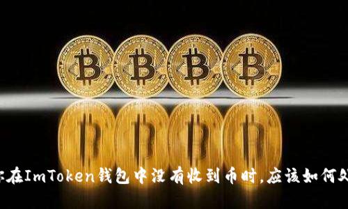 当你在ImToken钱包中没有收到币时，应该如何处理？