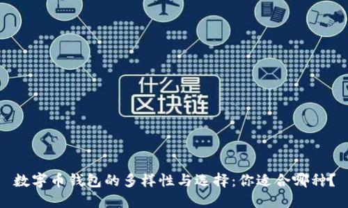数字币钱包的多样性与选择：你适合哪种？