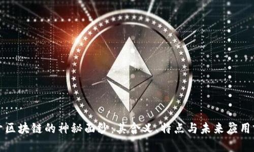 揭开区块链的神秘面纱：其含义、特点与未来应用前景