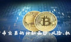 揭开国内加密币交易的神秘面纱：风险、机遇与