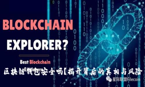 区块链钱包安全吗？揭开背后的真相与风险