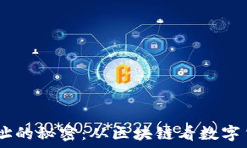   
   追踪USDT地址的秘密：从区块链看数字货币的隐秘交易 