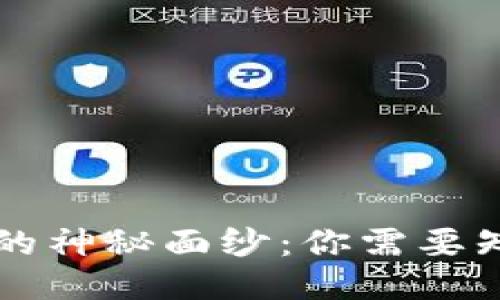 揭开区块链钱包的神秘面纱：你需要知道的原理与应用