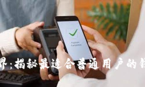 畅游区块链世界：揭秘最适合普通用户的钱包与手机选择