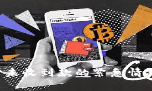 如何有效处理易币付未收到款的紧急情况，确保您的资金安全