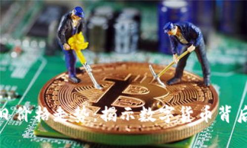 探索莱特币今日价格走势：揭示数字货币背后的秘密与惊喜