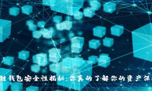 区块链钱包安全性揭秘：你真的了解你的资产保护吗？