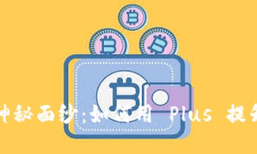 揭开区块链钱包的神秘面纱：如何用 Plus 提升你的数字资产管理