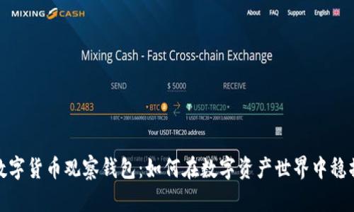 揭秘数字货币观察钱包：如何在数字资产世界中稳操胜券