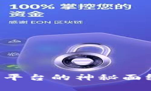 揭开中国虚拟币交易平台的神秘面纱：你需要知道的一切