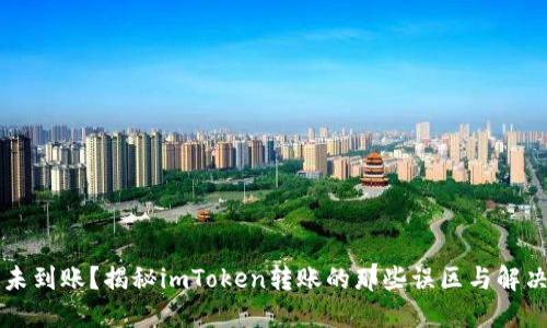转账未到账？揭秘imToken转账的那些误区与解决方案