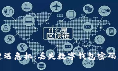当加密货币遭遇危机：丢失数字钱包密码后的重生之路
