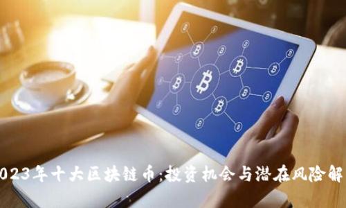 2023年十大区块链币：投资机会与潜在风险解析