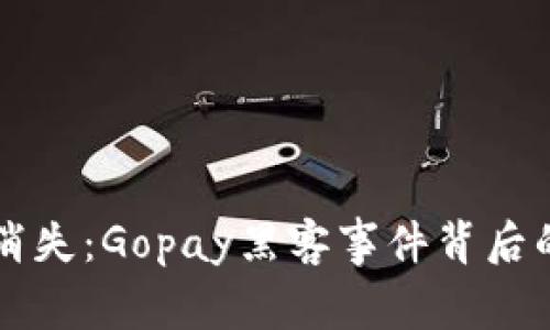 当你的钱在网上消失：Gopay黑客事件背后的真相与应对策略
