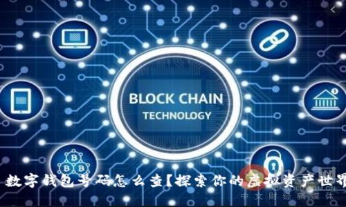  数字钱包号码怎么查？探索你的虚拟资产世界