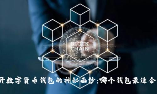 揭开数字货币钱包的神秘面纱：哪个钱包最适合你？