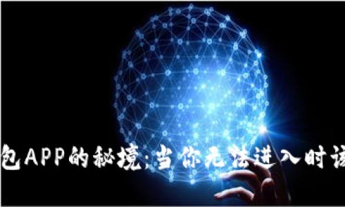 解锁U钱包APP的秘境：当你无法进入时该怎么办？